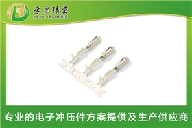 新能源汽車母端子1