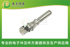 新能源汽車包圓公端子 新能源汽車包圓公端子